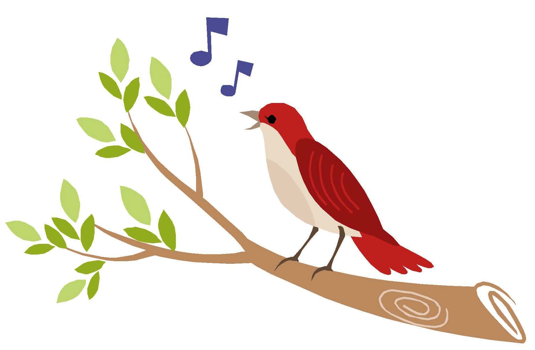 how-to-sing-a-song-bird.jpg